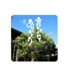あの人に伝えたい「ありがとう」2（個別スタンプ：22）