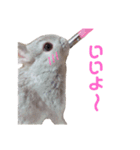 うさぎのギンちゃん（個別スタンプ：4）