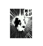 モノクロダックス（個別スタンプ：4）