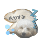 ウチのぷう♡♡（個別スタンプ：2）