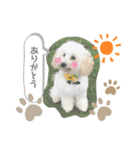 ウチのぷう♡♡（個別スタンプ：4）