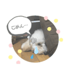 ウチのぷう♡♡（個別スタンプ：7）