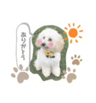ぷぷのあいさつ♡（個別スタンプ：5）