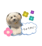 ぷぷのあいさつ♡（個別スタンプ：7）