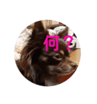 波流STAMP（個別スタンプ：3）