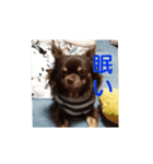 波流STAMP（個別スタンプ：6）