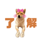 こはるさま②（個別スタンプ：6）