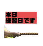 リアル綱おじさん1（個別スタンプ：18）