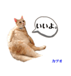 ワカメのメ（個別スタンプ：5）