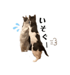 ワカメのメ（個別スタンプ：19）