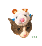 ワカメのメ（個別スタンプ：33）