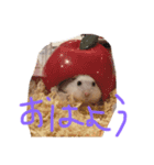 可愛いミルクちゃんスタンプ（個別スタンプ：5）