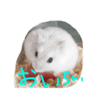 可愛いミルクちゃんスタンプ（個別スタンプ：6）