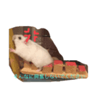 可愛いミルクちゃんスタンプ（個別スタンプ：7）
