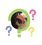 ハチワレ コタニャン（個別スタンプ：7）