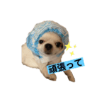 マイペースゆずさん（個別スタンプ：3）