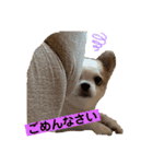 マイペースゆずさん（個別スタンプ：5）