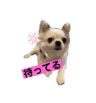 マイペースゆずさん（個別スタンプ：6）