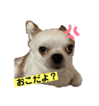 マイペースゆずさん（個別スタンプ：11）