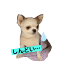 マイペースゆずさん（個別スタンプ：13）