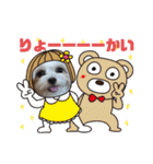 チワシーのララちゃん2（個別スタンプ：4）
