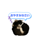 我が家の風鈴（個別スタンプ：5）