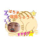 ★カーリーはち子★・∀・（個別スタンプ：10）