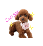 ちこお嬢様（個別スタンプ：1）