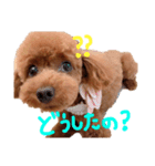 ちこお嬢様（個別スタンプ：3）