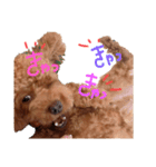 ちこお嬢様（個別スタンプ：6）