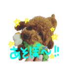 ちこお嬢様（個別スタンプ：9）