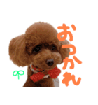ちこお嬢様（個別スタンプ：16）