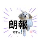 トトロのスタンプ②（個別スタンプ：13）