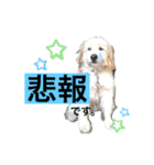 トトロのスタンプ②（個別スタンプ：14）