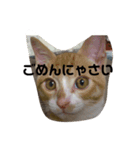 あいさつたちたち3（個別スタンプ：2）