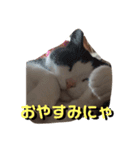 あいさつたちたち3（個別スタンプ：5）