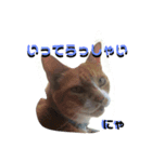 あいさつたちたち3（個別スタンプ：7）