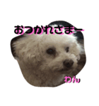 あいさつたちたち3（個別スタンプ：8）