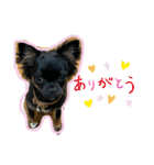 すずちゃん♡スタンプ（個別スタンプ：10）
