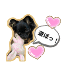 すずちゃん♡スタンプ（個別スタンプ：12）