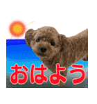 挨拶スタンプ2（個別スタンプ：1）