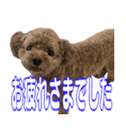 挨拶スタンプ2（個別スタンプ：2）