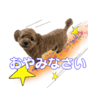 挨拶スタンプ2（個別スタンプ：7）