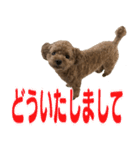 挨拶スタンプ2（個別スタンプ：9）