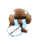 toy.poochan..（個別スタンプ：2）