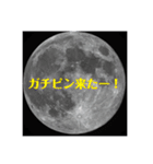 月を撮る人のスタンプです（個別スタンプ：5）