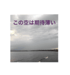 月を撮る人のスタンプです（個別スタンプ：9）