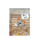 動物の集合22（個別スタンプ：1）