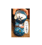 動物の集合22（個別スタンプ：4）