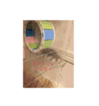 動物の集合22（個別スタンプ：5）